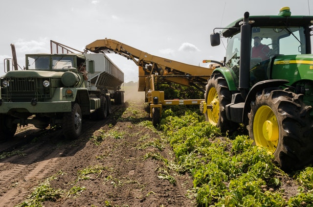 Agricoltura - Foto di John Lambeth da Pexels