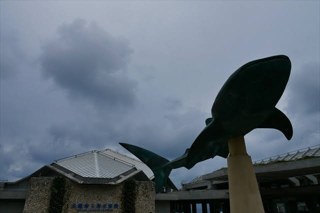 美ら海水族館