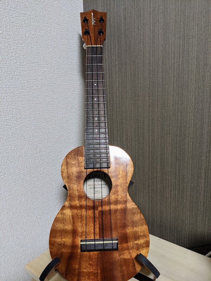 ウクレレのカポとギグバッグを買ったので紹介 だくーす明日はどこに行こうか