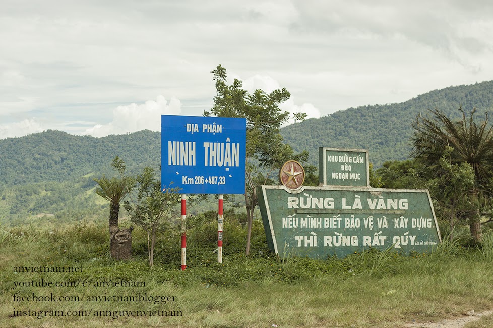 Hành trình chinh phục Đà Lạt bằng những cung đường đèo khác nhau