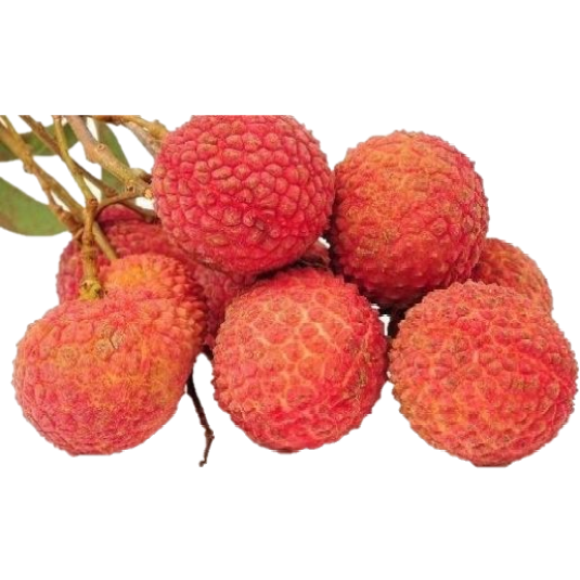 lychee 荔枝