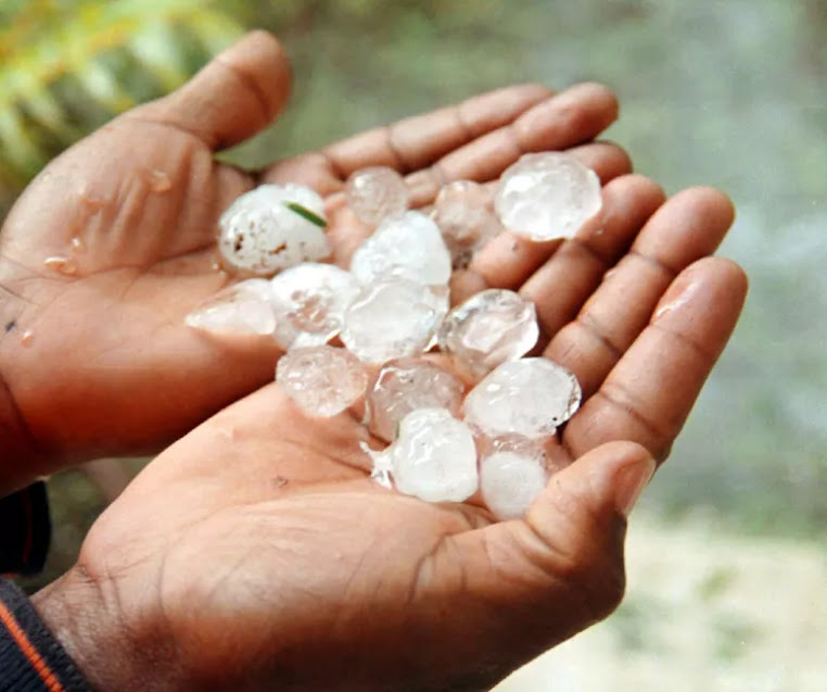 Granizo destrói culturas na região de Lamego 