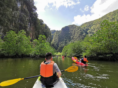 Paddle into the mangrove canyon