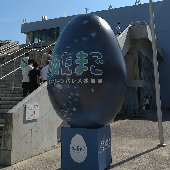 うみたまご（水族館）