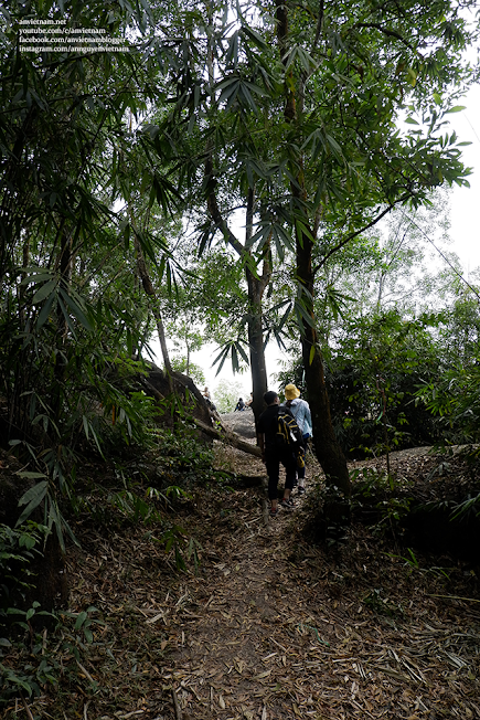 Đi tour trekking núi Dinh và ghé thăm Thiền Tôn Phật Quang (chùa Phật Quang) ở Bà Rịa – Vũng Tàu