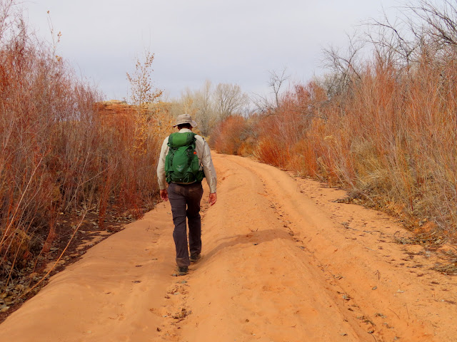 Sandy slog back to the trailhead