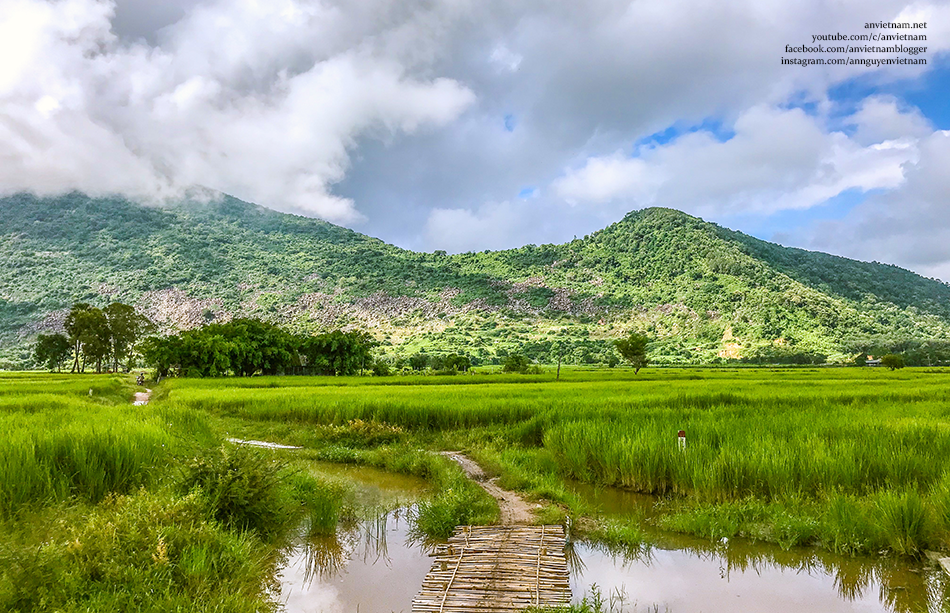 Tây Ninh có gì đẹp: 2 cây thốt nốt Tình Yêu Kvan