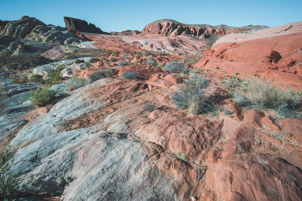 fire wave landscape