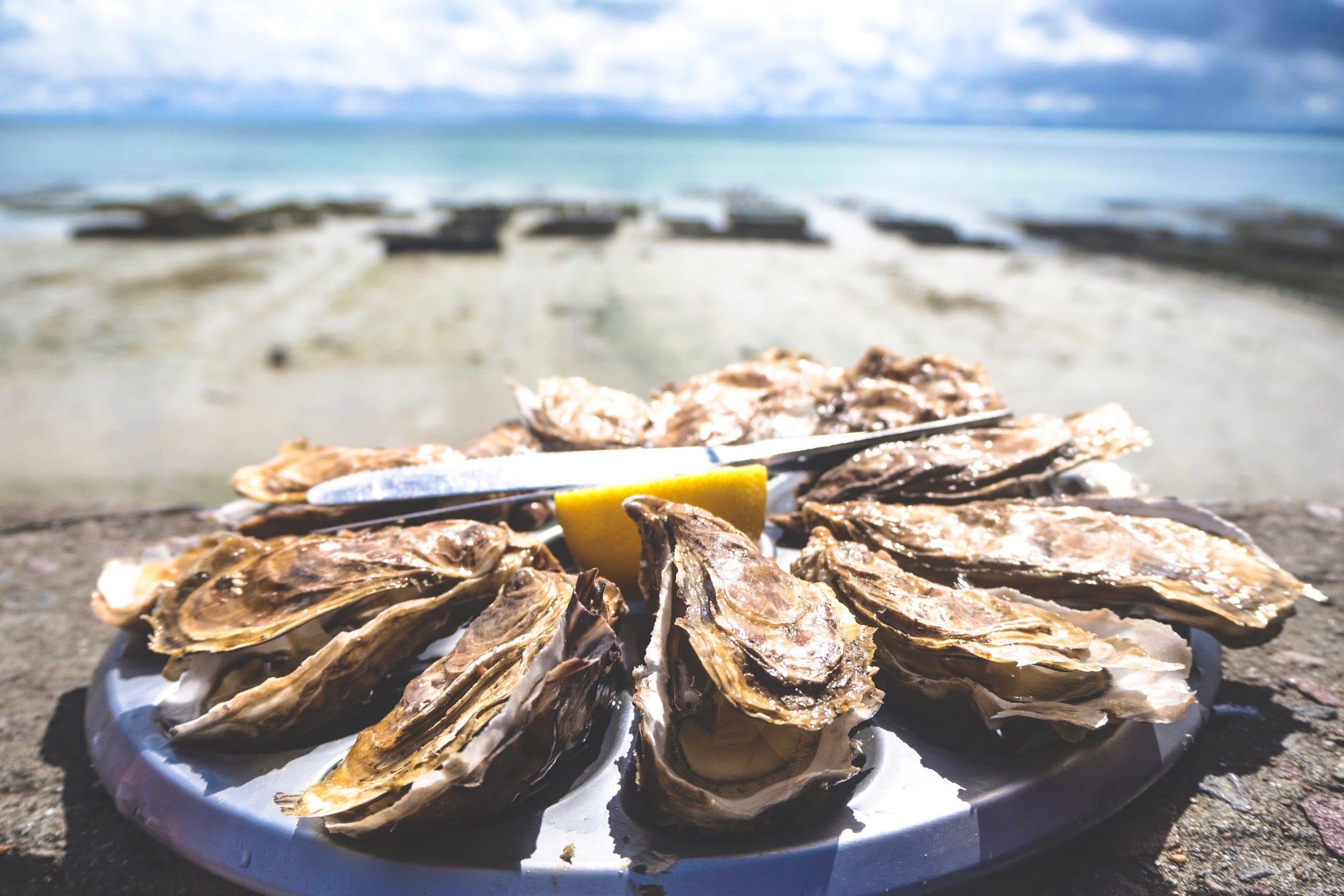 oesters-rapen-zeeland