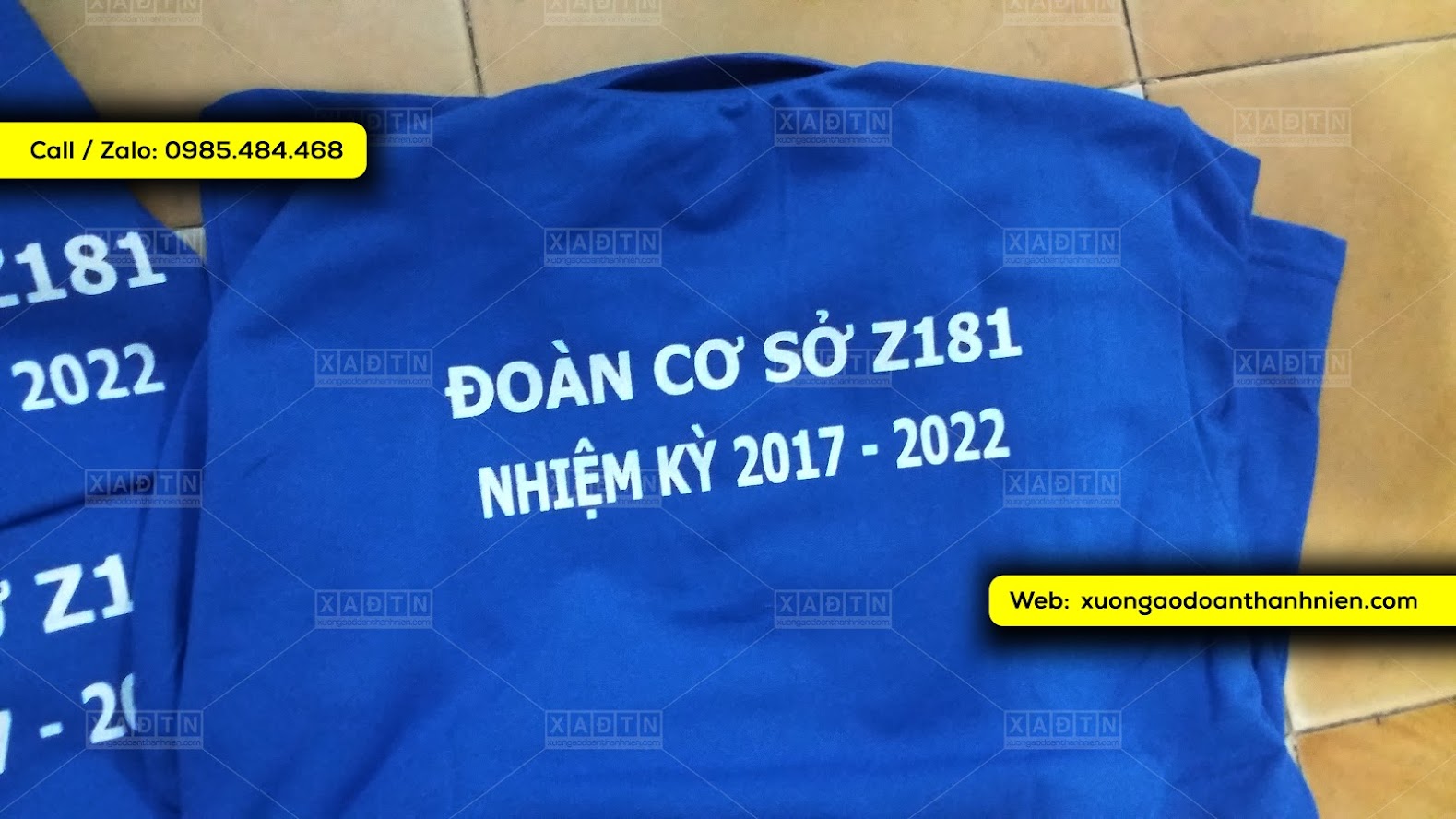 Đoàn cơ sở Z181