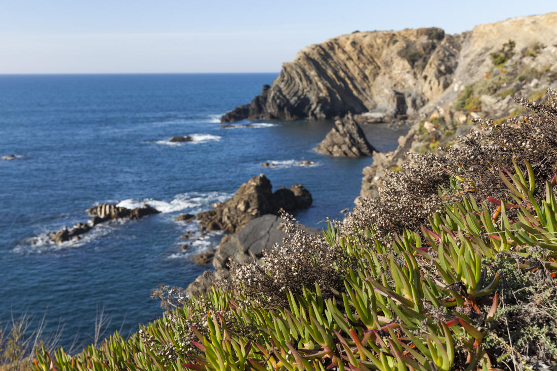 Треккинг на юге Португалии в январе: Rota Vicentina и Fishermen's trail (много фото)