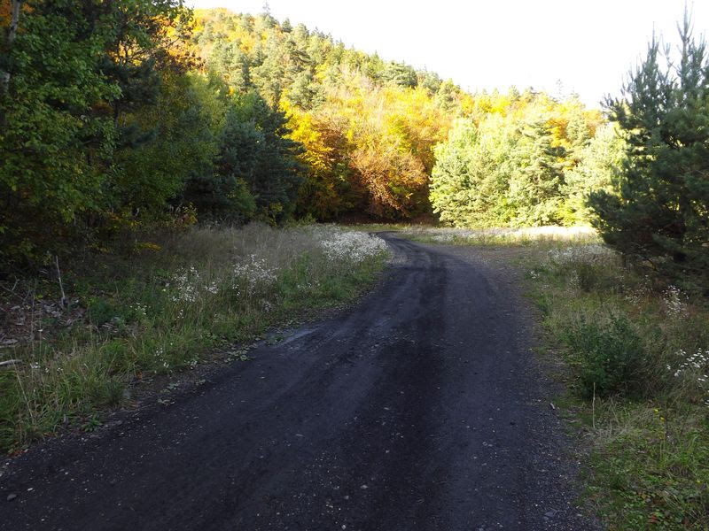 Voie ferre de transport du remblais