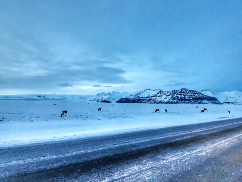 В Исландию за снегом! Юг и полуостров Snæfellsnes. 11 дней в феврале-марте 2020