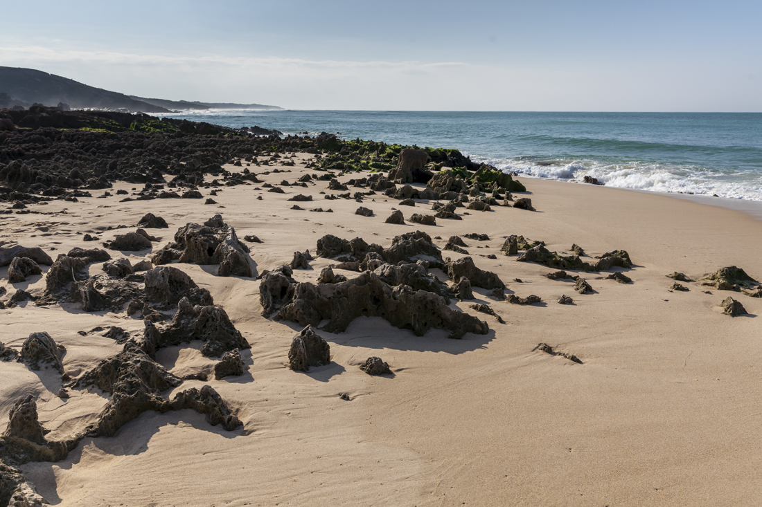 Треккинг на юге Португалии в январе: Rota Vicentina и Fishermen's trail (много фото)