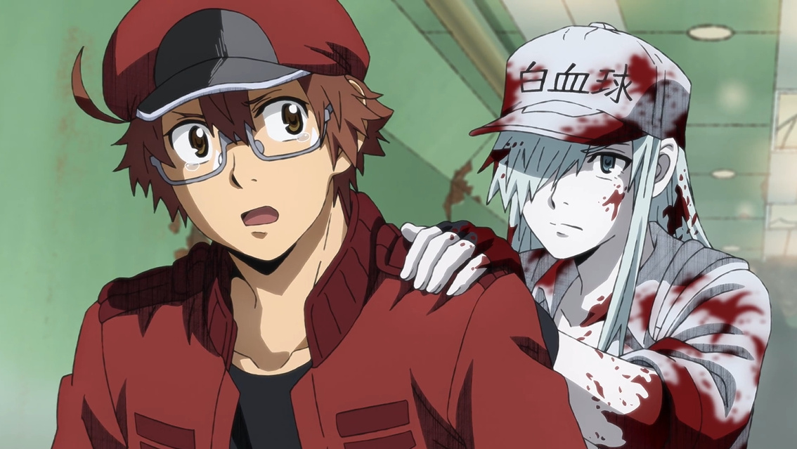 hataraku saibou – Moeronpan