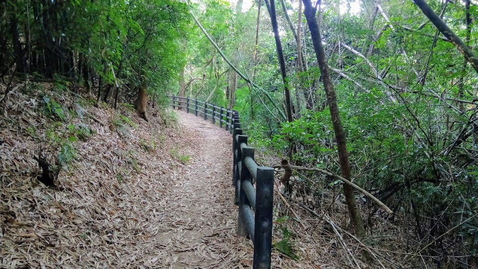 新竹景點|步道-高峰植物園