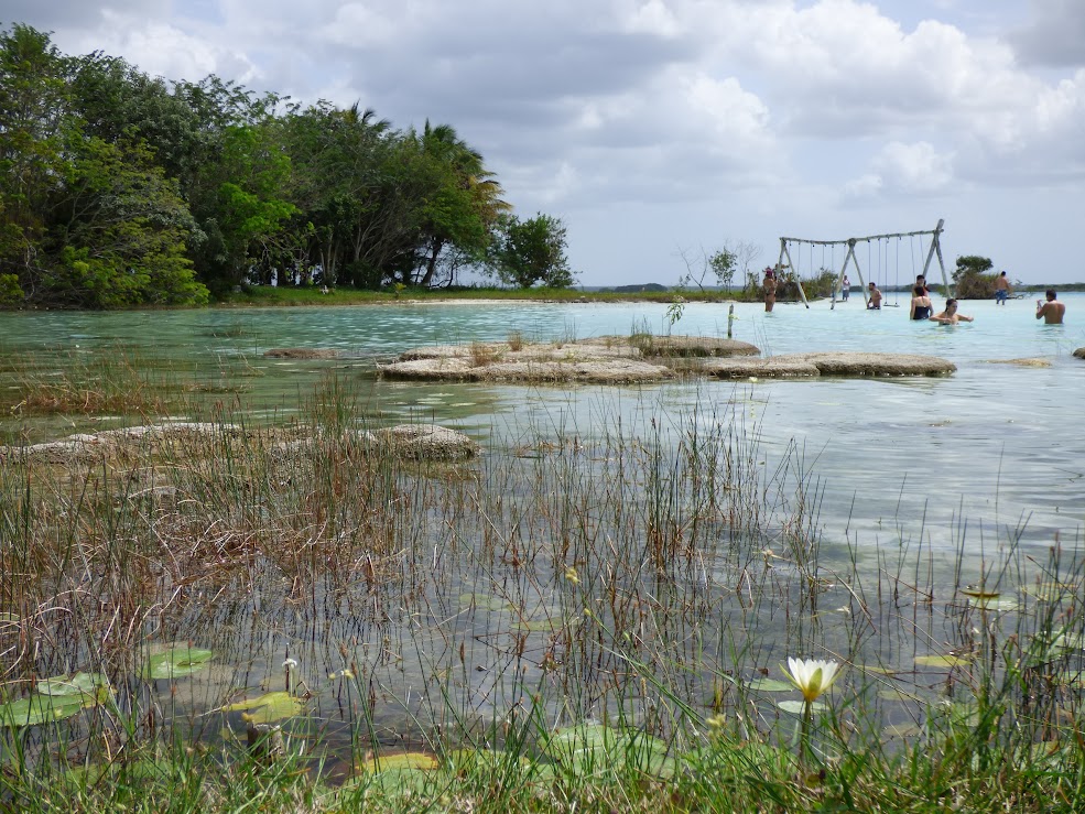 cenote cocalitos