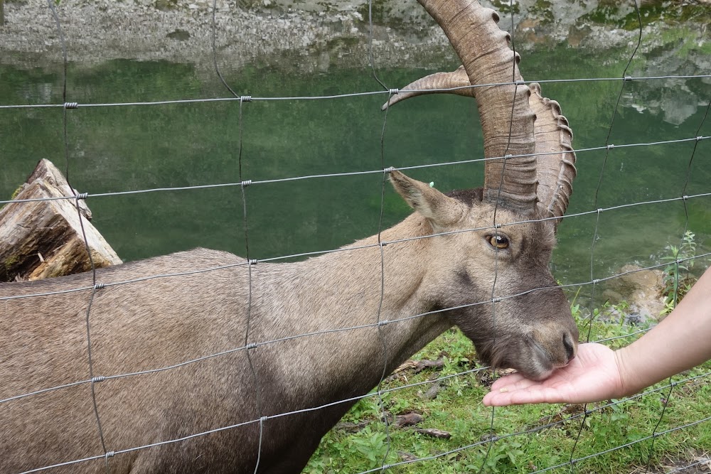 Земля Верхняя Австрия (Bundesland Oberösterreich)