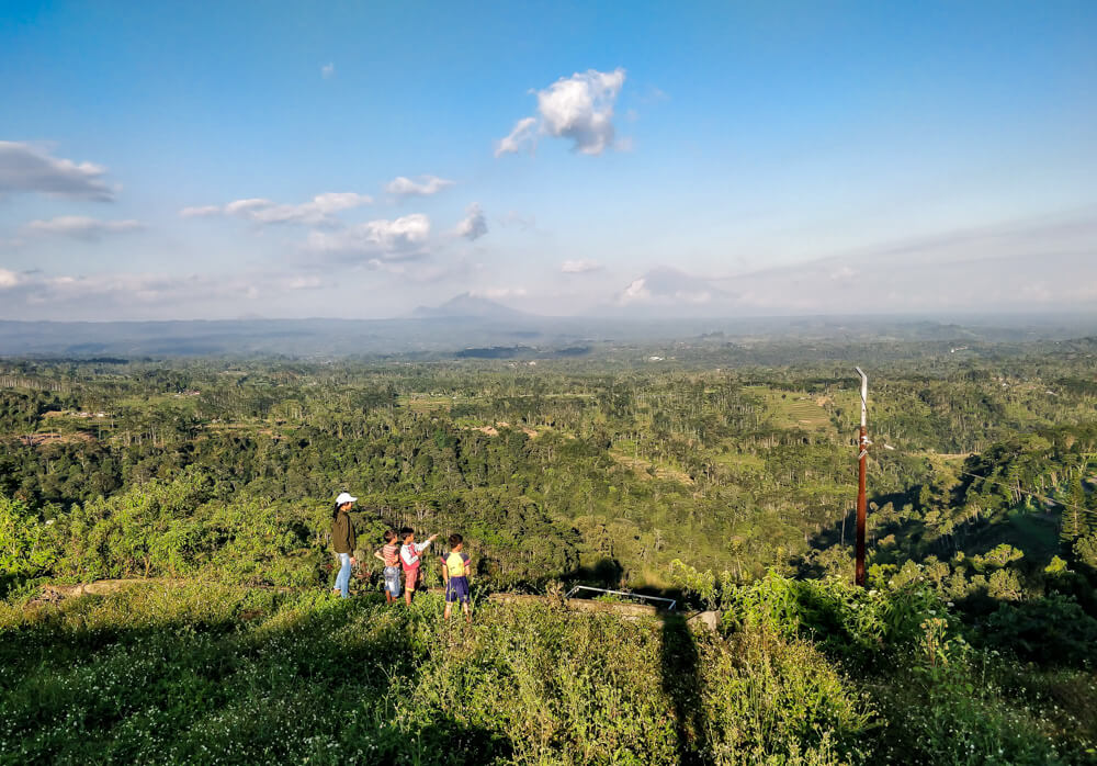 view while driving in bali.jpg