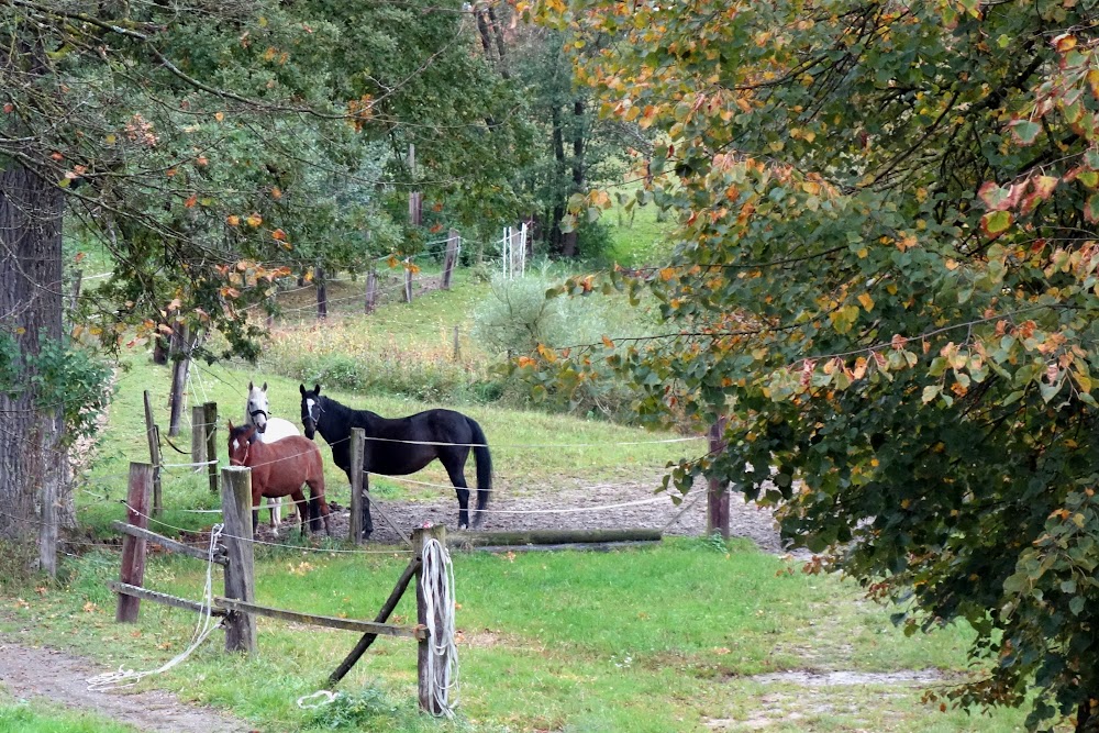 Земля Верхняя Австрия (Bundesland Oberösterreich)