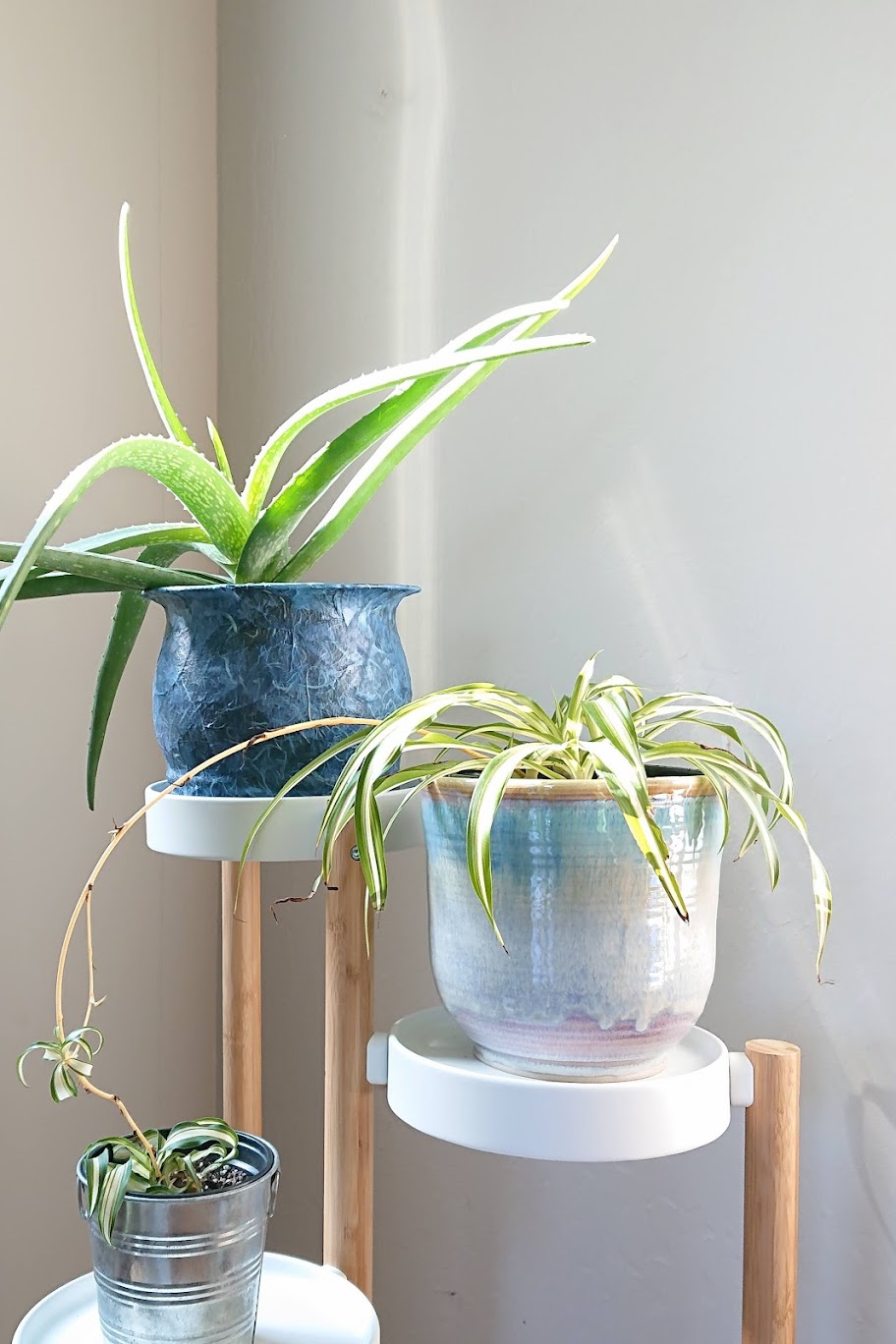 Decoupaged planter housing an aloe vera on a multi-level plant stand. | FAFAFOOM STUDIO