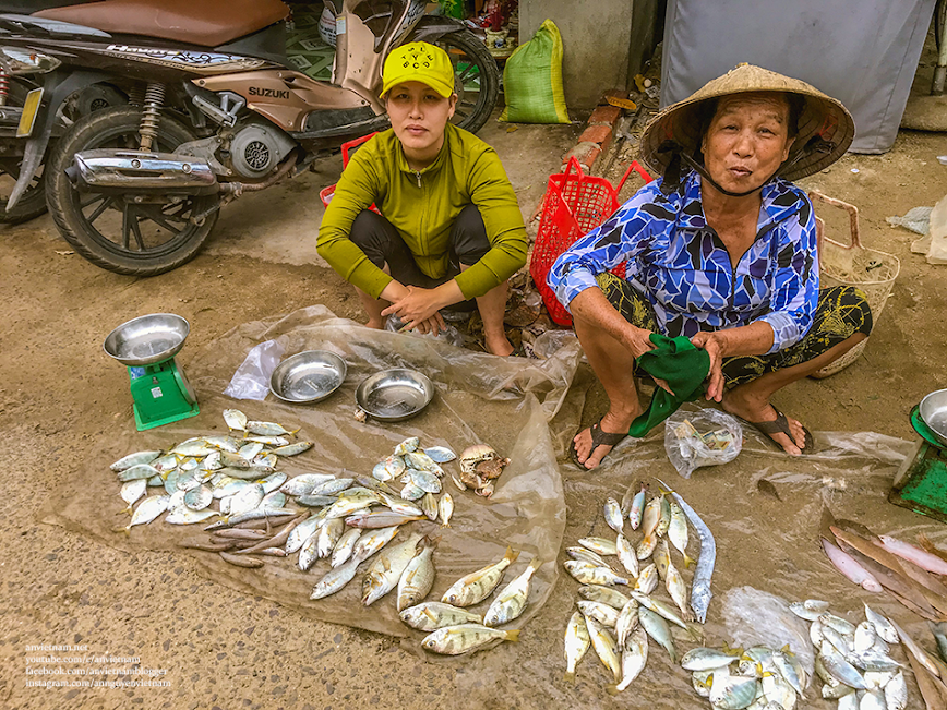 Dạo bờ kè biển Tam Quan