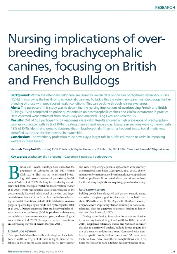 Screenshot of an article insert taken from the veterinary nurse describing nursing implications of over-breeding brachycephalic canines, focusing on British and French bulldogs