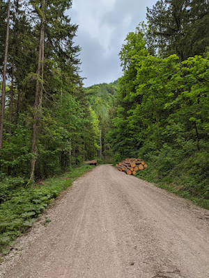 This is the ascent road to Jochberg Alm