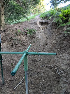 Wasenkogel trail: Descend starts here