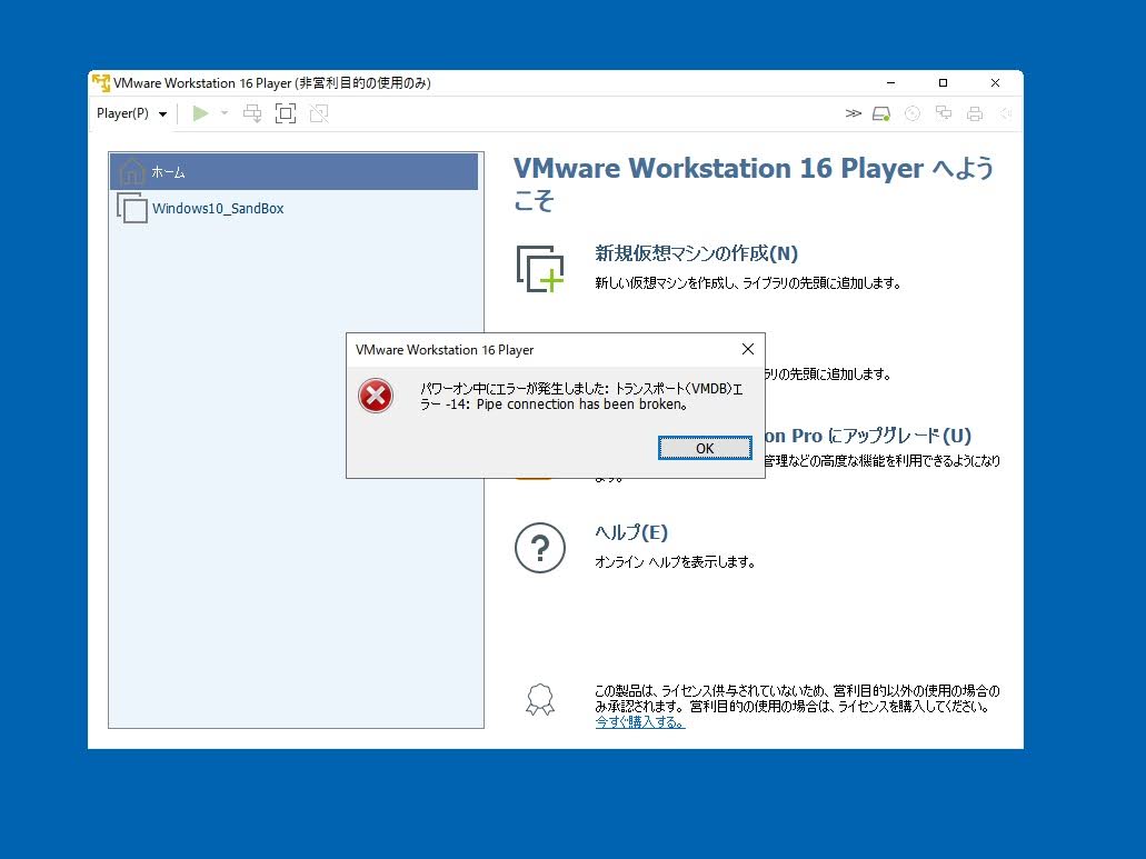 Windows Sandboxとvmware Playerは同居できない Device Credential Guard が有効な状態のエラーが出てvmが起動できない場合の対処方法 Terzoblog