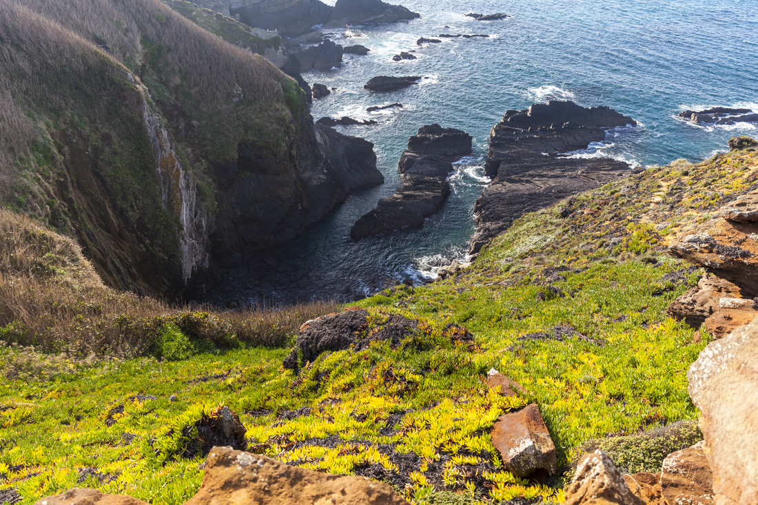 Треккинг на юге Португалии в январе: Rota Vicentina и Fishermen's trail (много фото)