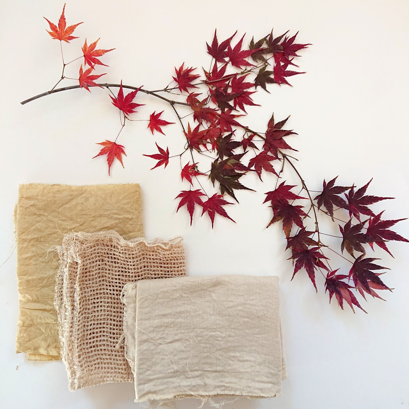 Batch #1A Results from Japanese Maple Dyeing | FAFAFOOM STUDIO