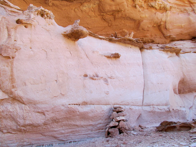 Ledge with a structure on top and rock step below