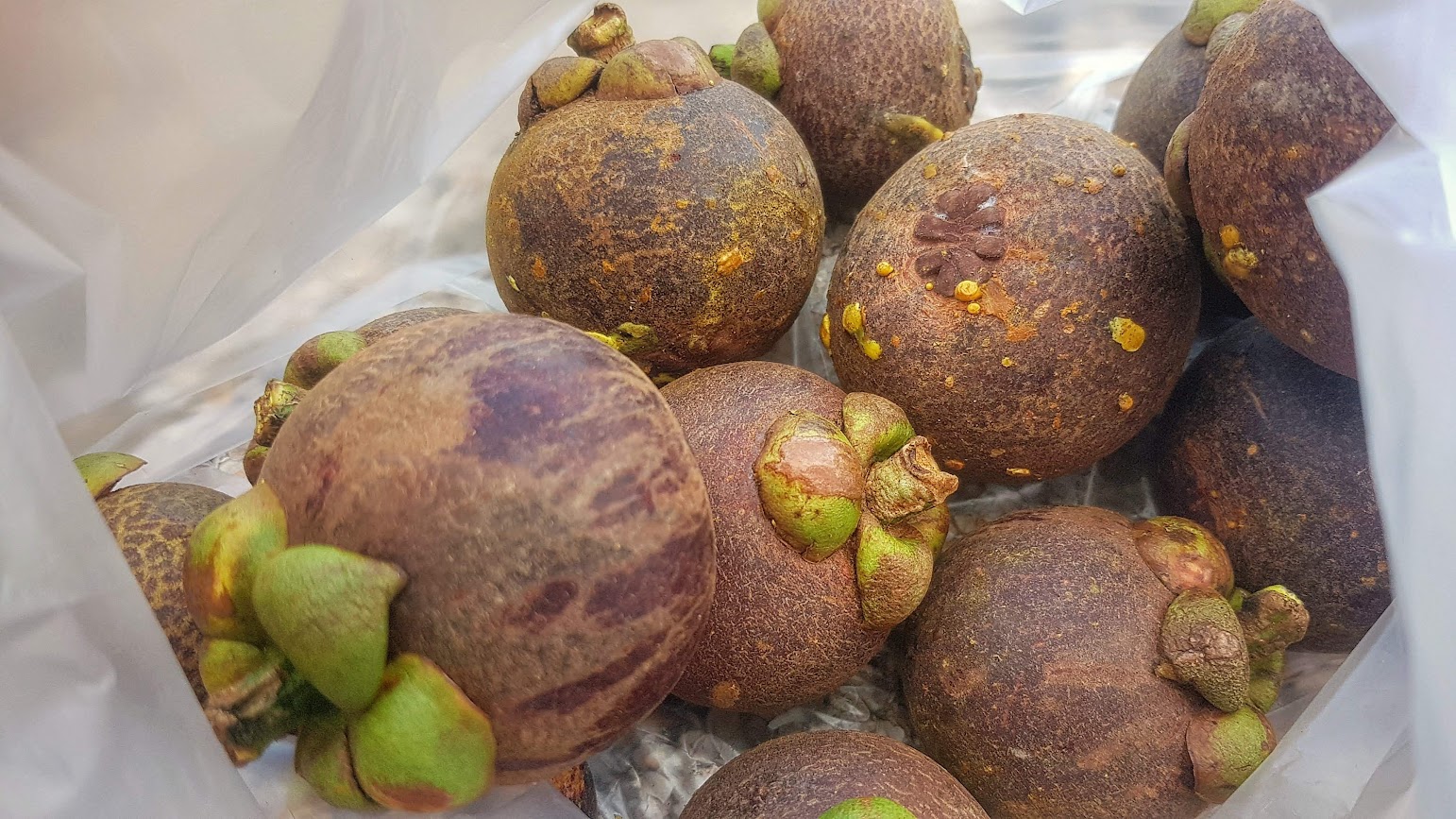 Haad Khanom Beach
Nakhon Si Thammarat Province
Thailand
Fruit
Purple mangosteen