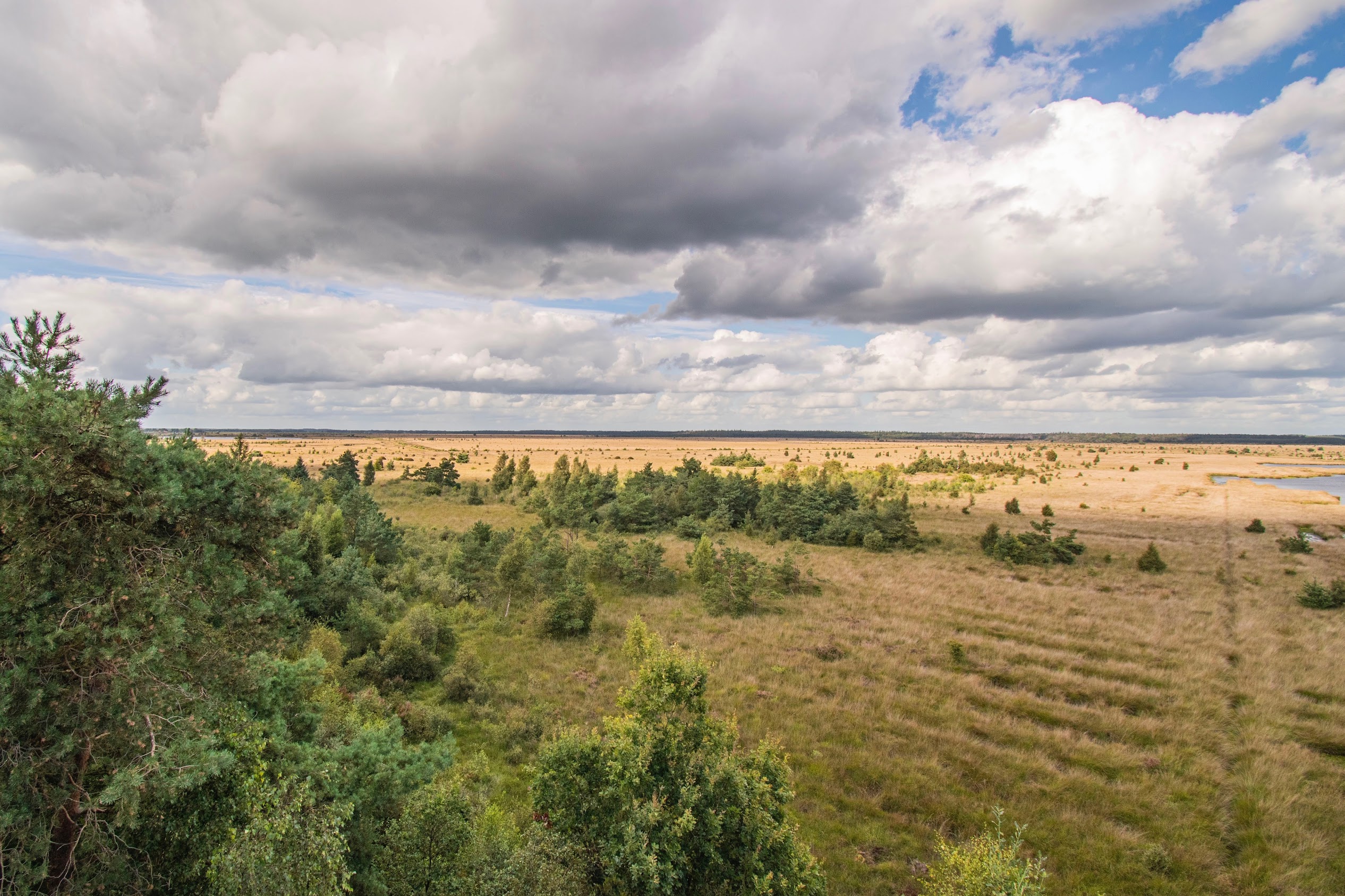 natuur-friesland