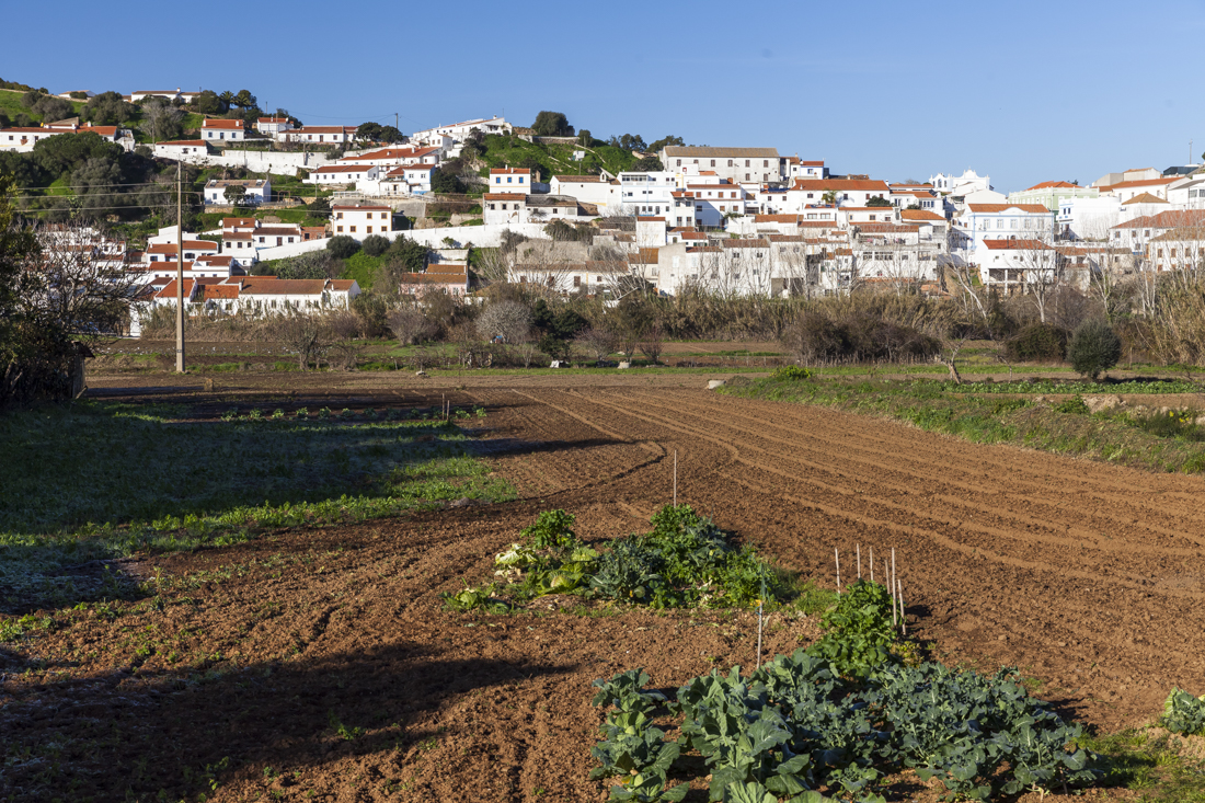 Треккинг на юге Португалии в январе: Rota Vicentina и Fishermen's trail (много фото)