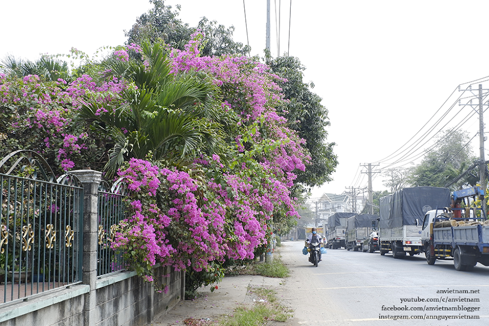 Ảnh đường phố về một Sài thành hoa lệ