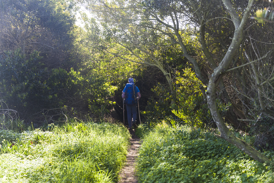 Треккинг на юге Португалии в январе: Rota Vicentina и Fishermen's trail (много фото)