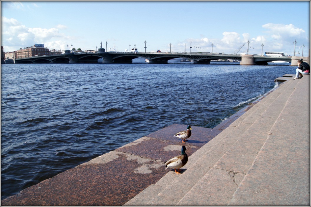 На белые ночи в Петербург (Царское село, Петергоф) через Печоры и Псков. Фотозарисовки из прошлого.