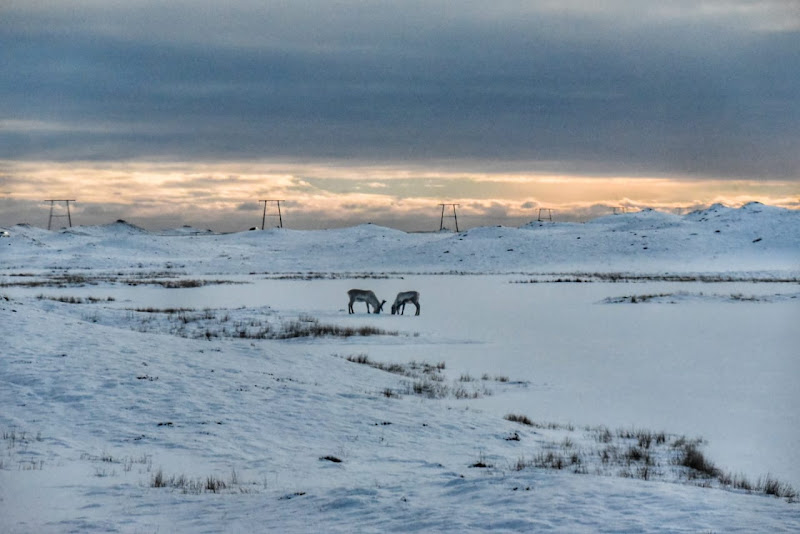 В Исландию за снегом! Юг и полуостров Snæfellsnes. 11 дней в феврале-марте 2020