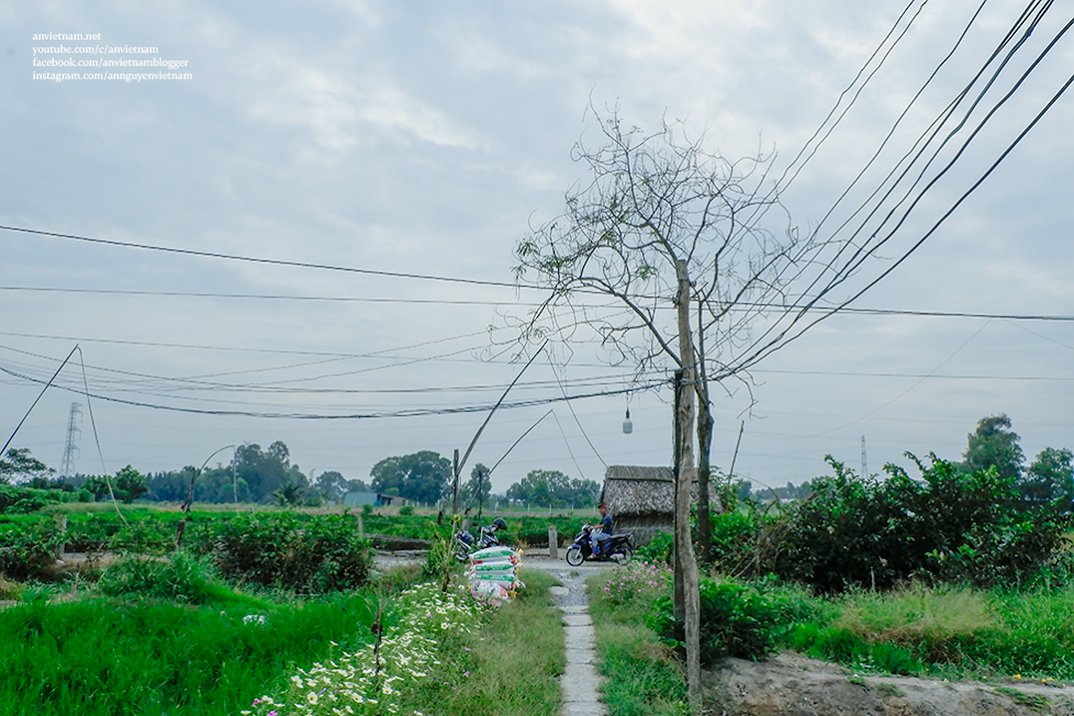 Tìm về vùng quê xã Quy Đức, huyện Bình Chánh