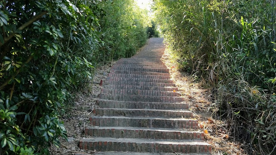 新竹步道 - 十二寮山登山步道