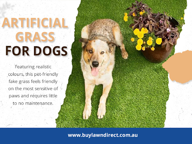 Artificial Grass For Dogs