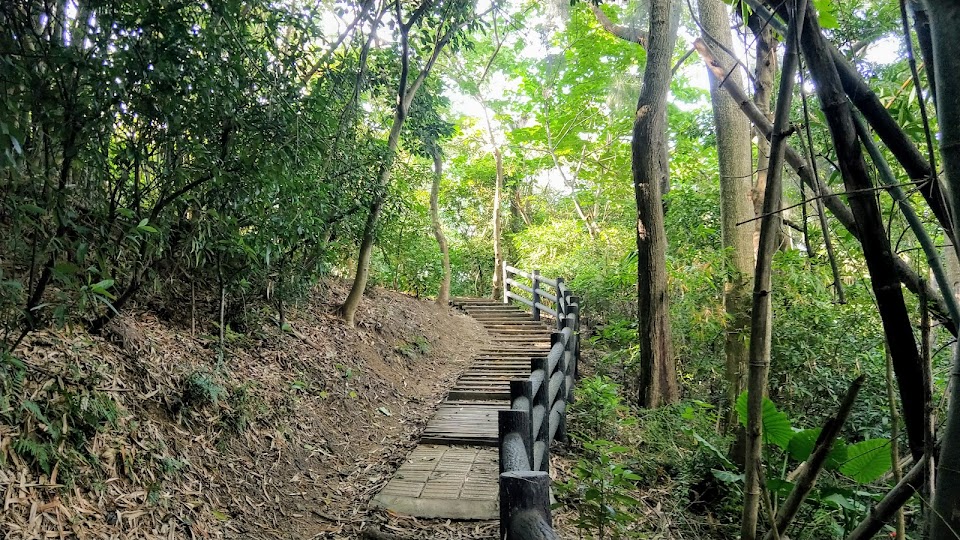 新竹景點|步道-高峰植物園