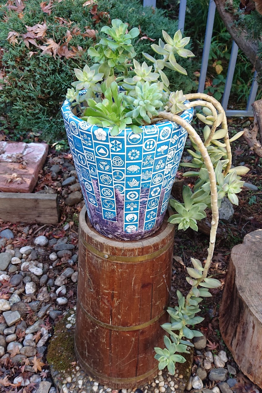 What the planter looks like several months after. The colors have changed from outdoor exposure. | FAFAFOOM STUDIO