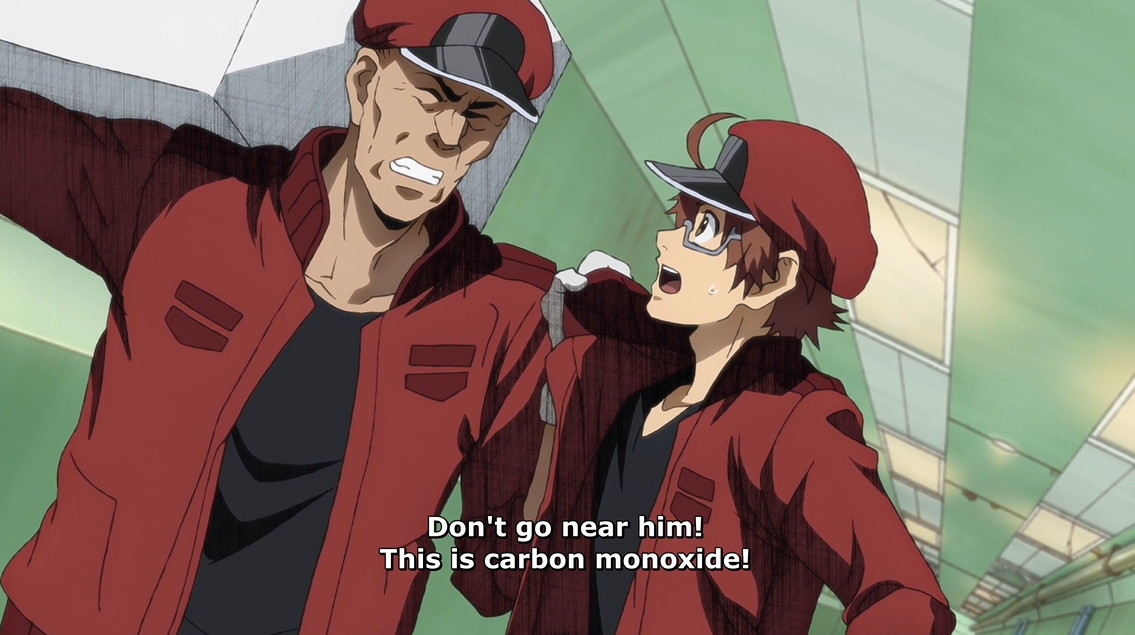 A First Impression: Cells at Work! Episode 1 – Moeronpan