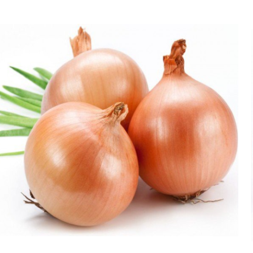 onion 洋蔥