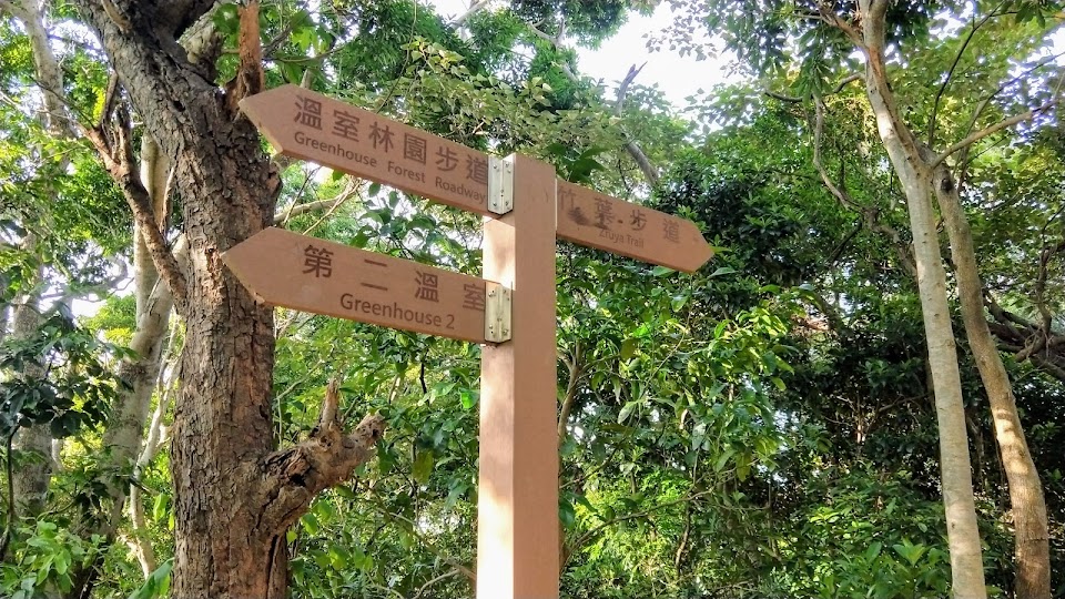 新竹景點|步道-高峰植物園