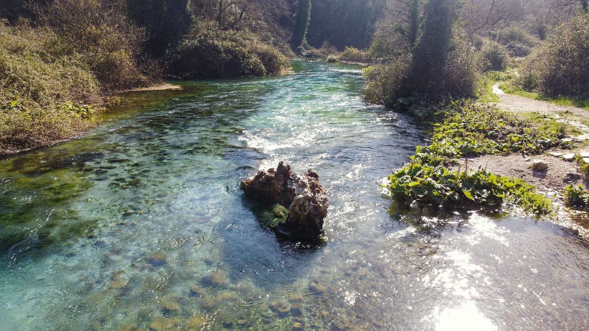 A log in the water at blue eye, vlora county, albania