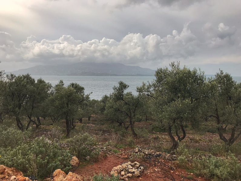 Corfu beyond olive groves view from ksamil albania